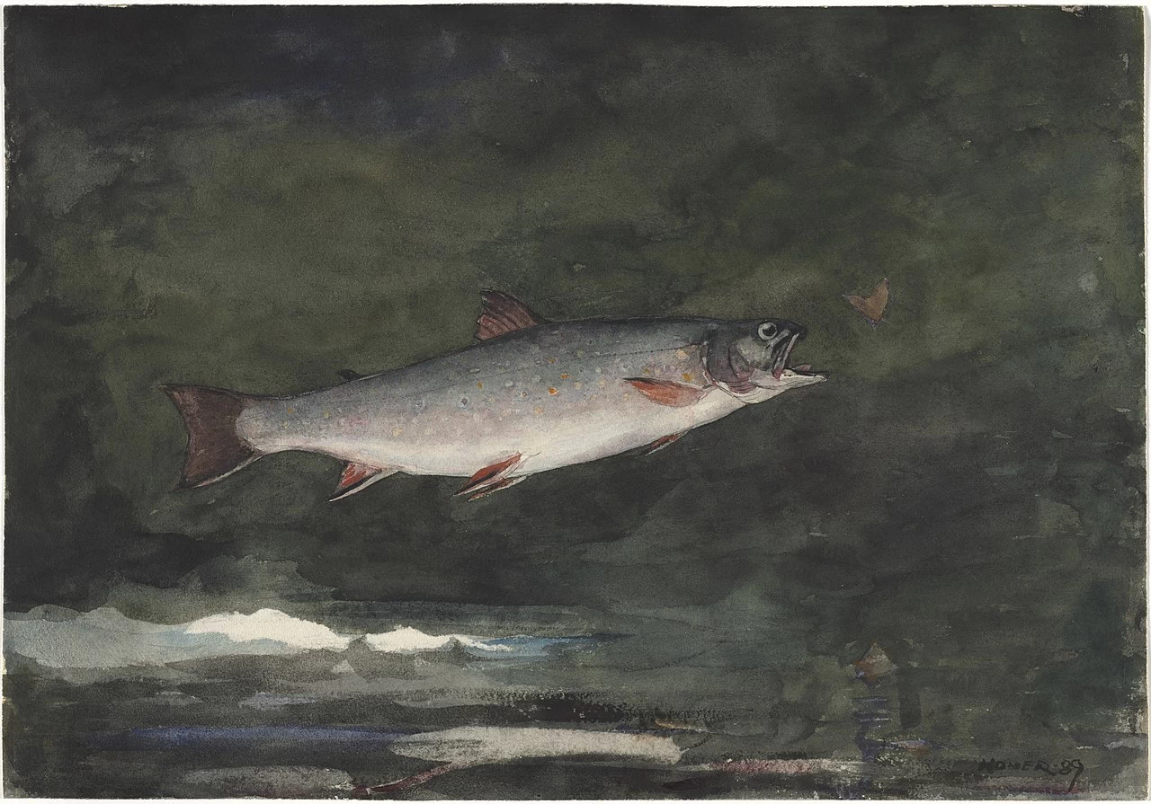 Trota saltante (1889) - Cleveland Museum of Art